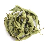 Λουίζα (Lemon Vervain)