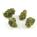 Ethos Herbals Red Cherry 1gr