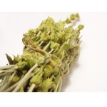 Τσάι του Βουνού