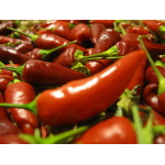 Ethos Herbals Πιπεριές Serrano - Σπόροι 100τμχ