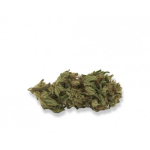 Ethos Herbals Green Zen