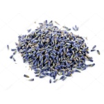 Λεβάντα BIO (Lavandula Hybrida)