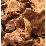 Rhodiola Rosea - Ρίζα