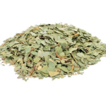 Ευκάλυπτος (Eucalyptus)