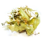 Φλαμουριά (Linden) - Φύλλα & Άνθη