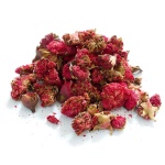 Ροδιά (Pomegranate) - Άνθη