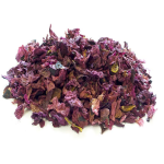 Κόκκινη Παπαρούνα (Red Poppy) - Άνθη