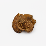 Amanita Regalis – Dried Caps