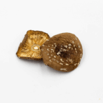 Amanita Pantherina – Dried Caps