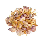 Pink Lotus (Nelumbo Nucifera)