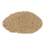 Turkey Tail Mushroom