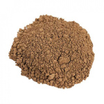 Cordyceps Extract - Cordycepin 5%