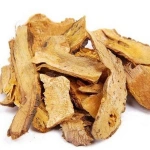 Japanese Knotweed (Polygonum Cuspidatum)