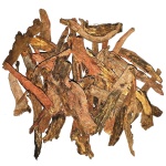 Red Sage (Salvia Miltiorrhiza)