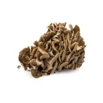 Maitake Mushroom (Grifola Frondosa) BIO