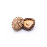 Shiitake Mushroom (Lentinus Edodes) BIO