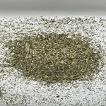 Violet Tree (Securidaca Longipedunculata)