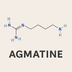 Agmatine Sulfate