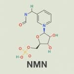 Nicotinamide Mononucleotide (NMN)