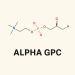 Alpha-GPC