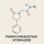 Phenylpiracetam Hydrazide