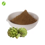 Artichoke - Cynarin 5%