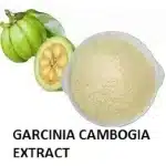 Garcinia Cambogia - HCA 50%