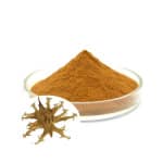 Devil's Claw - Harpagoside 5%