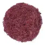 Mimosa Hostilis Rootbark