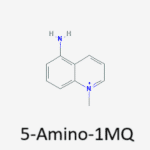 5-Amino-1MQ