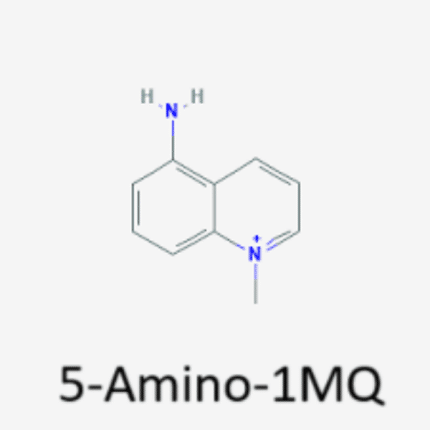 5-Amino-1MQ