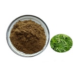 Artemisia Annua - Artemisinin 20%