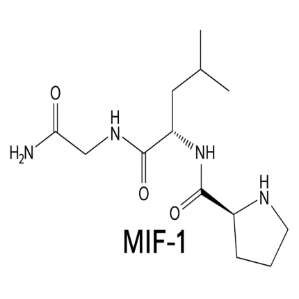 MIF-1 Peptide