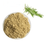 Rosmarinus Officinalis- Carnosic Acid 60%
