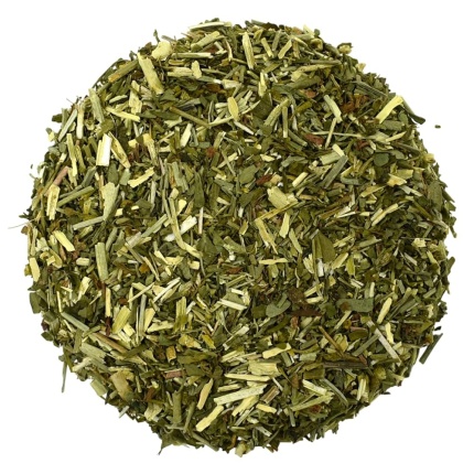 Common Rue (Ruta Graveolens)