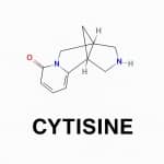 Sophona Alopecuroides - Cytisine 98%