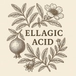 Ellagic Acid