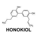 Magnolia Officinalis - Honokiol 98%
