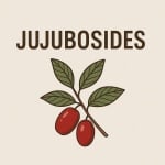 Jujube - Jujubosides 10%