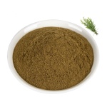 Lemon Balm Extract - Rosmarinic Acid 10%