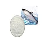 Fish Collagen Peptide