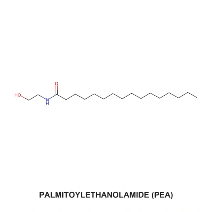 Palmitoylethanolamide molecular structure with PALMITOYLETHANOLAMIDE (PEA) centred below