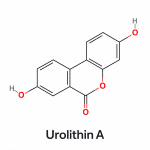 Chemical structure of Urolithin A, with two hydroxyl groups and a lactone ring